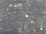 image of grave number 622589